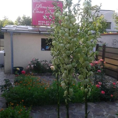 Pensiunea Casa Didina Bacău エクステリア 写真