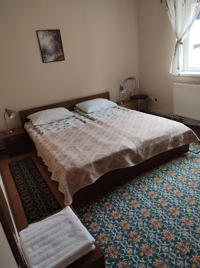 Pensiunea Casa Didina Bacău エクステリア 写真