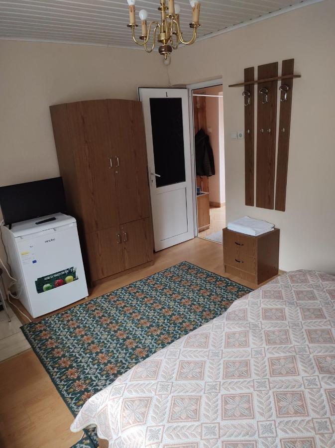 Pensiunea Casa Didina Bacău エクステリア 写真